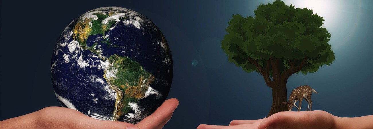 ▷ Donar por un Futuro Sostenible, Reciclaje y Solidaridad en Acción 