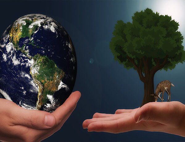 ▷ Donar por un Futuro Sostenible, Reciclaje y Solidaridad en Acción 